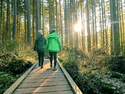 Photo of two peple walking in an old growth forest